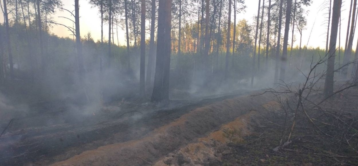 У деревни в Ильинском районе вновь горел лес