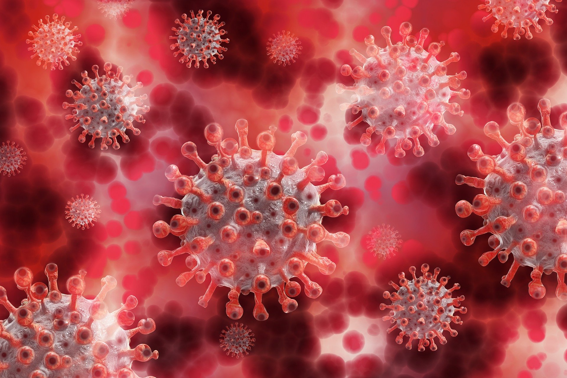 Суточный прирост инфицированных коронавирусом в Ивановской области обновил максимум за семь месяцев