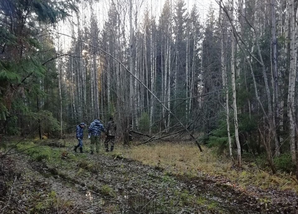 В Ивановской области поисковики обнаружили в лесу тело мужчины