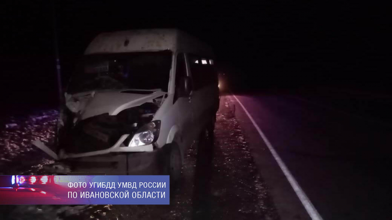 Микроавтобус сбил лося на трассе «Золотое кольцо» в Ивановской области