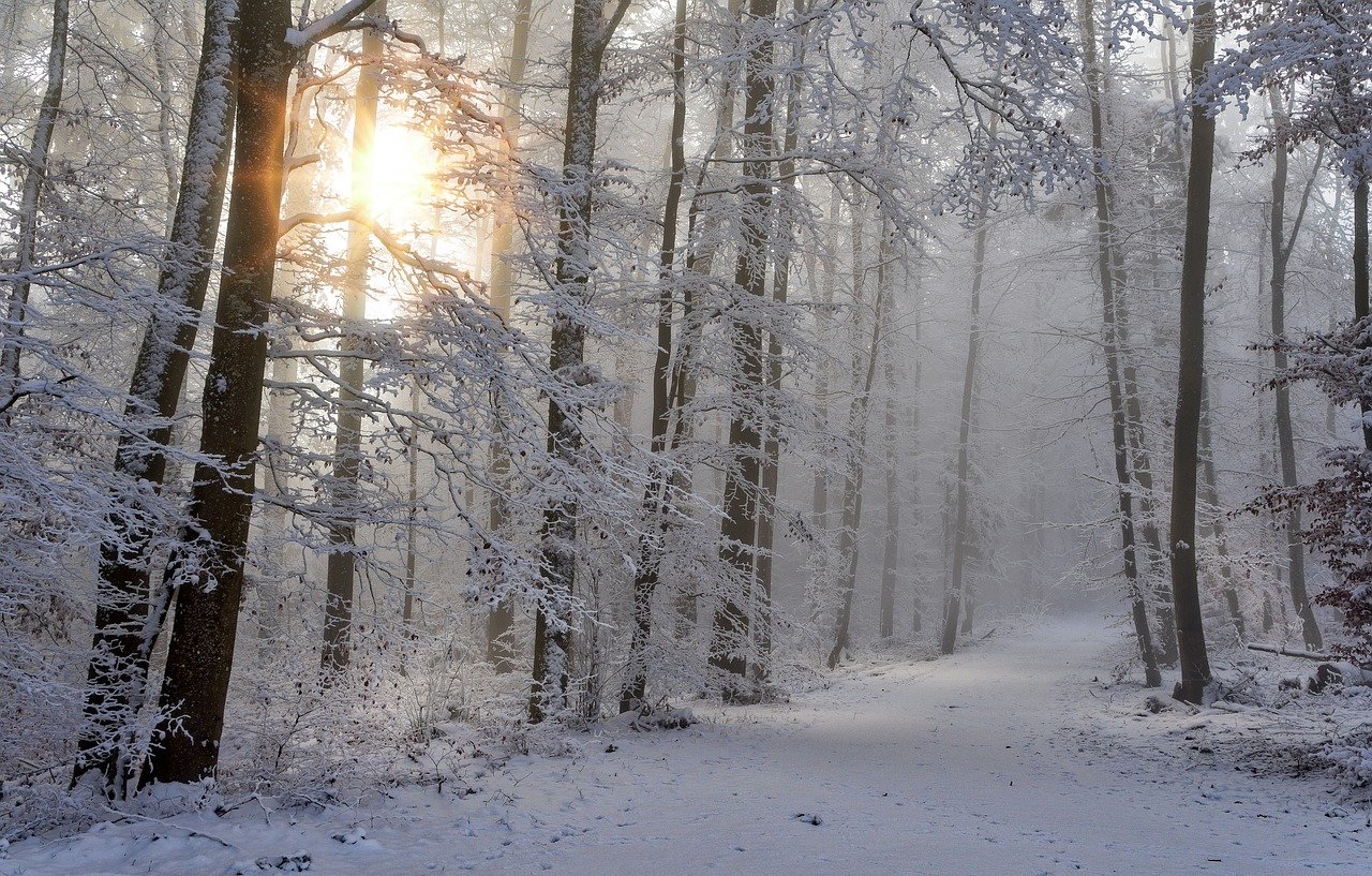 Колебания температуры и снег ожидаются в Ивановской области 