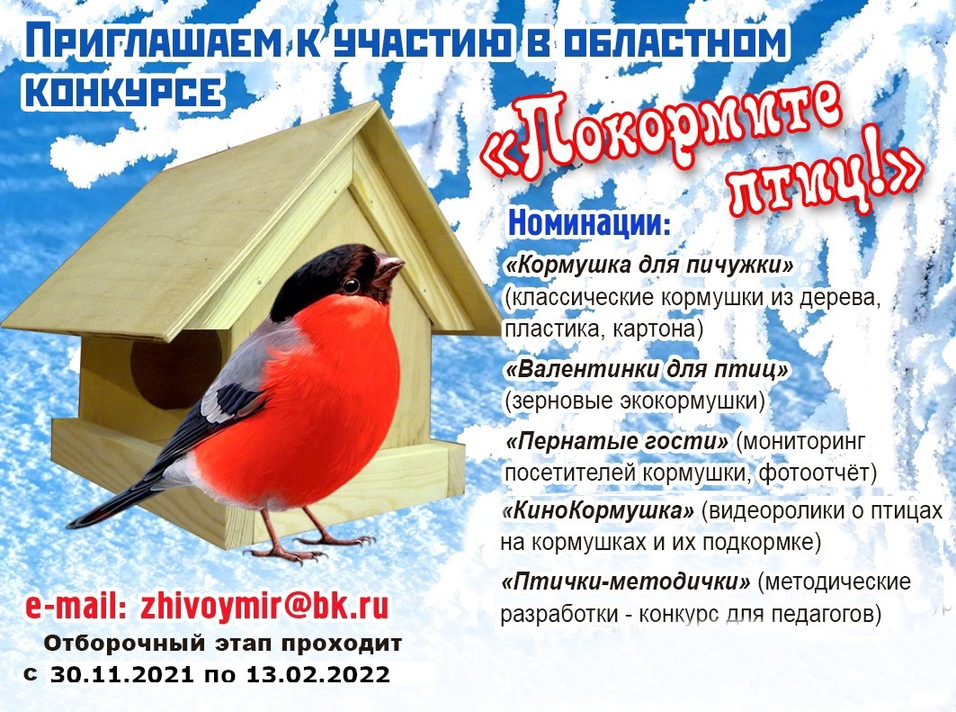 В Ивановской области стартовала акция «Покормите птиц!»