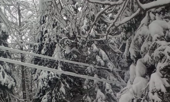 Впервые за многие годы на электросетях сетях Ивановской области происходит значительное обледенение и налипание снега