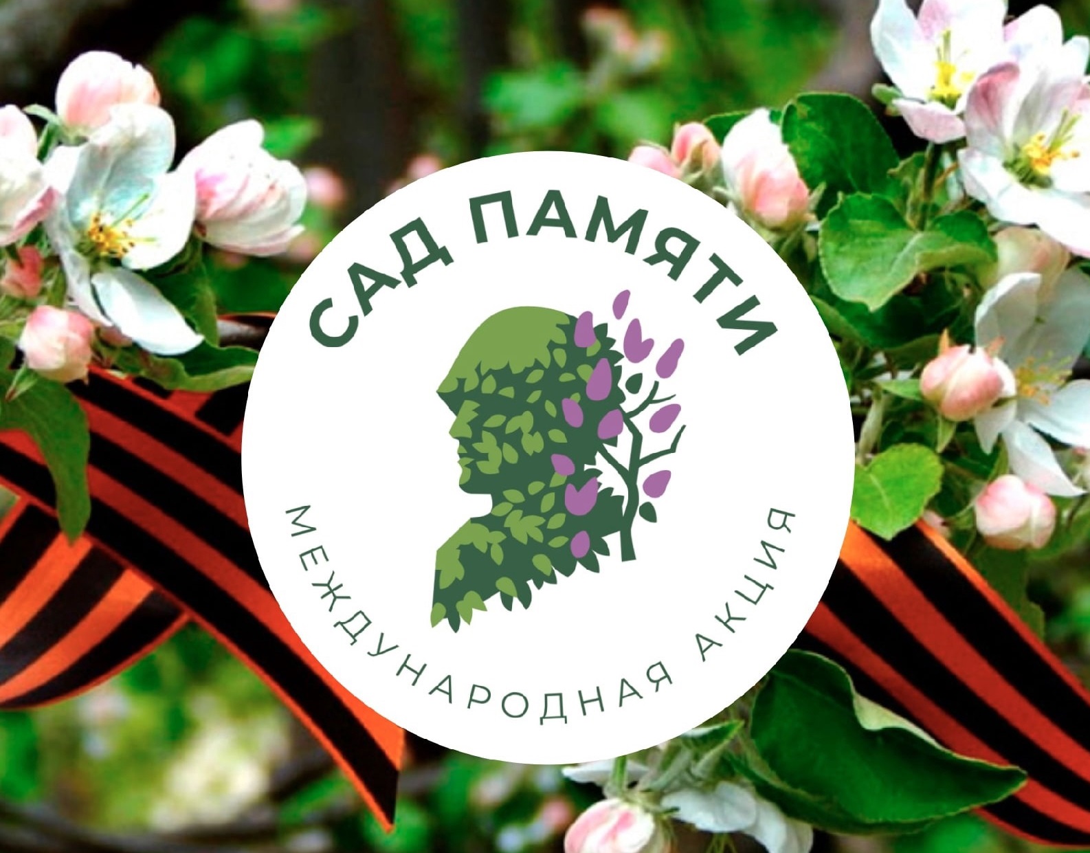 Ивановская область присоединится к Международной акции «Сад памяти»