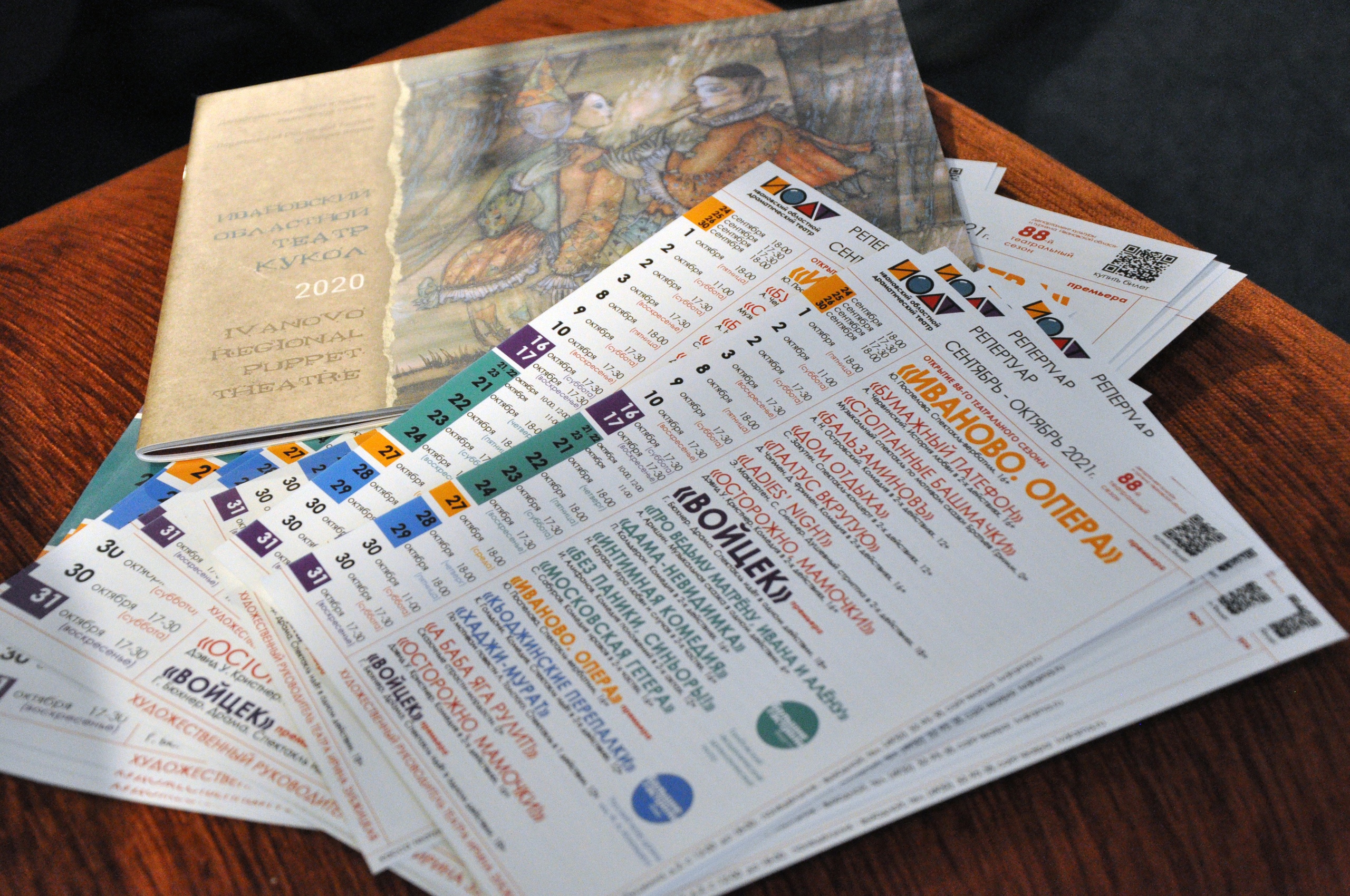 Детский омбудсмен региона предложила льготу по типу «Пушкинской карты» для сопровождения инвалидов