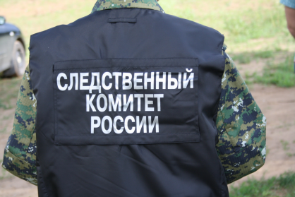 В Ивановской области возбуждено уголовное дело по факту изнасилования 9-летней девочки