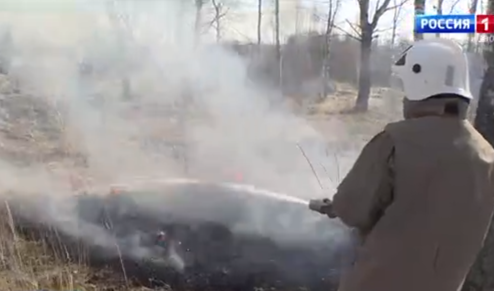 В Ивановской области произошел пожар в лесах Пестяковского района
