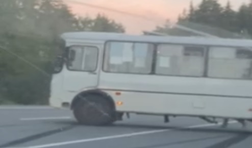 В Ивановской области автобус развернуло на трассе из-за лося