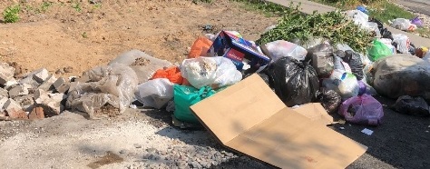 Три стихийные свалки мусора ликвидировали в Иванове