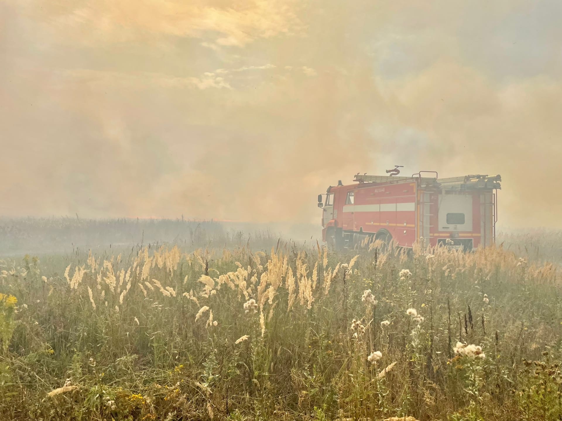 В Ивановской области зафиксировали еще 2 лесных пожара