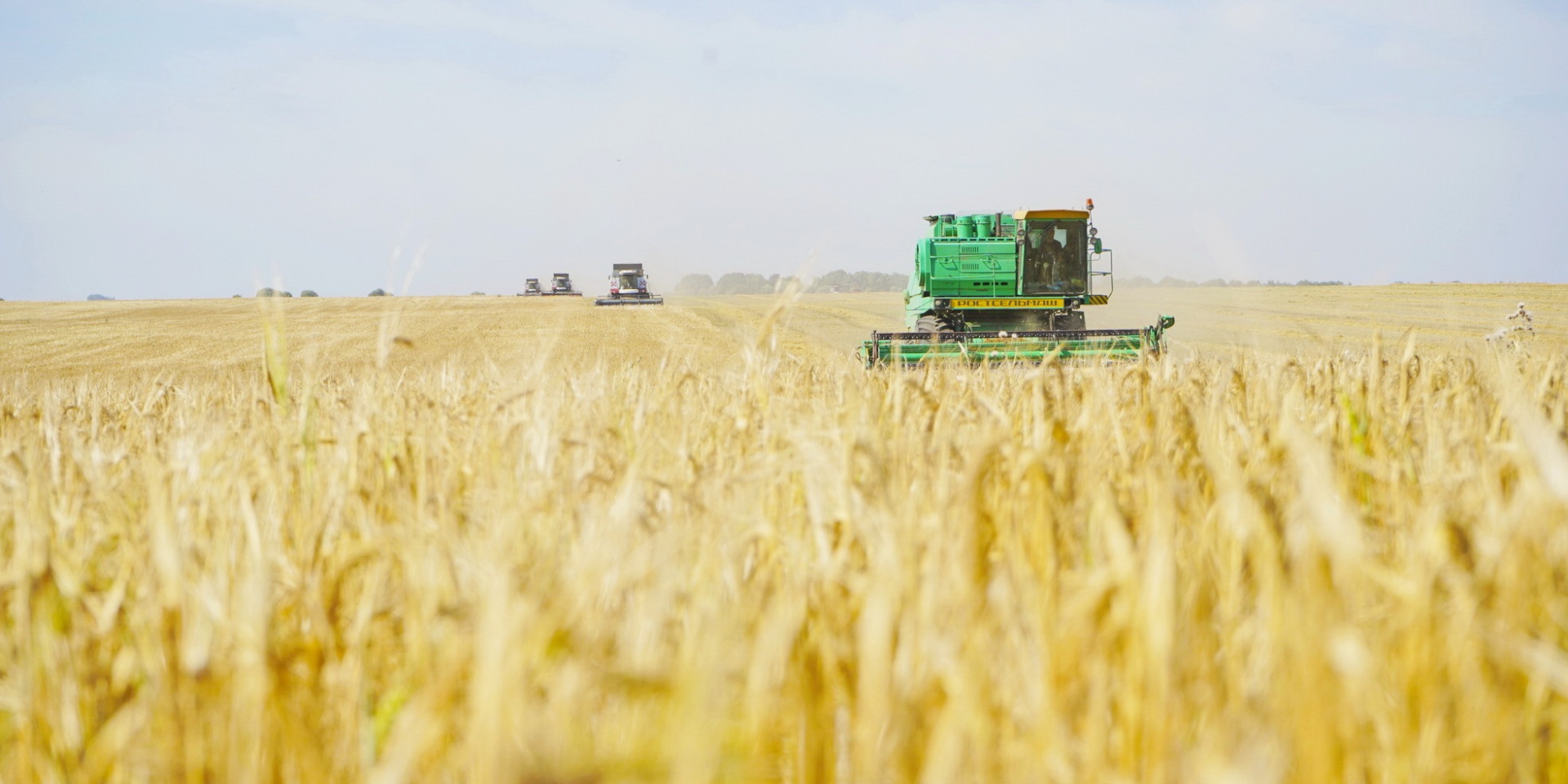 Текущие темпы уборки и урожайность зерновых культур в Ивановской области превышают уровень прошлого года