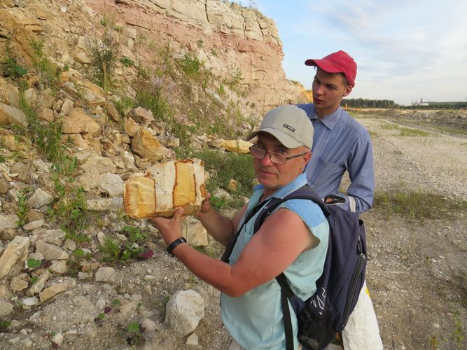 Специалисты из Иванова провели геолого-палеонтологическую экспедицию во Владимирской области