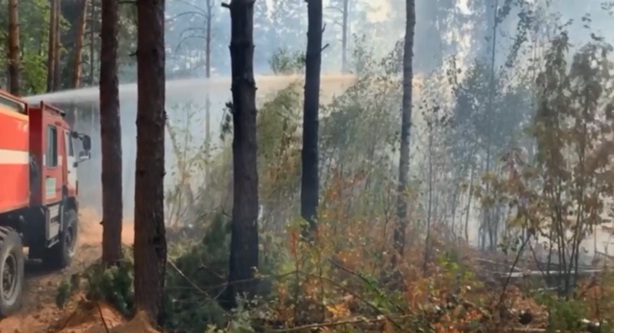 В ликвидации пожара в Южском районе Ивановской области задействовано больше 1,2 тыс человек и 160 единиц техники (видео)