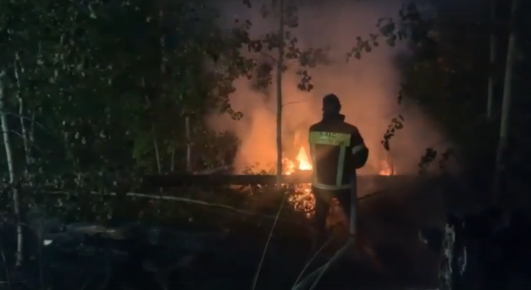 В Ивановской области вновь произошел лесной пожар у Талиц