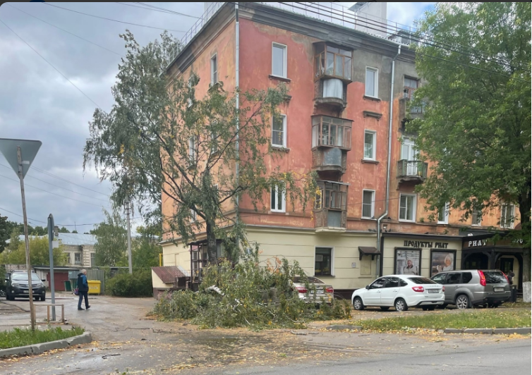 В Иванове из-за сильного ветра упали два дерева
