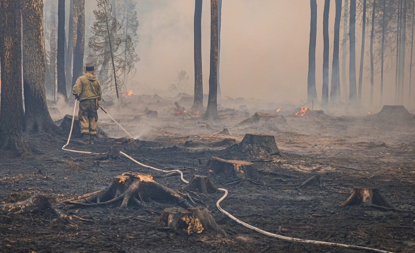 Тушивших крупный пожар в Ивановской области волонтеров наградят 