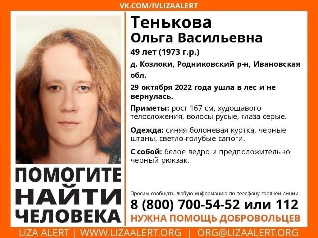 В лесу Ивановской области пропала 49-летняя женщина