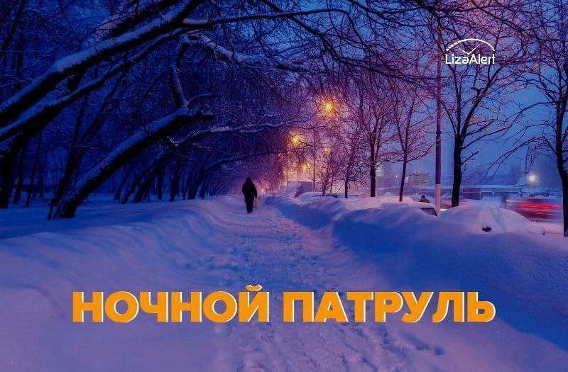 Отряд "ЛизаАлерт" Ивановской области возобновил "Ночной патруль" 