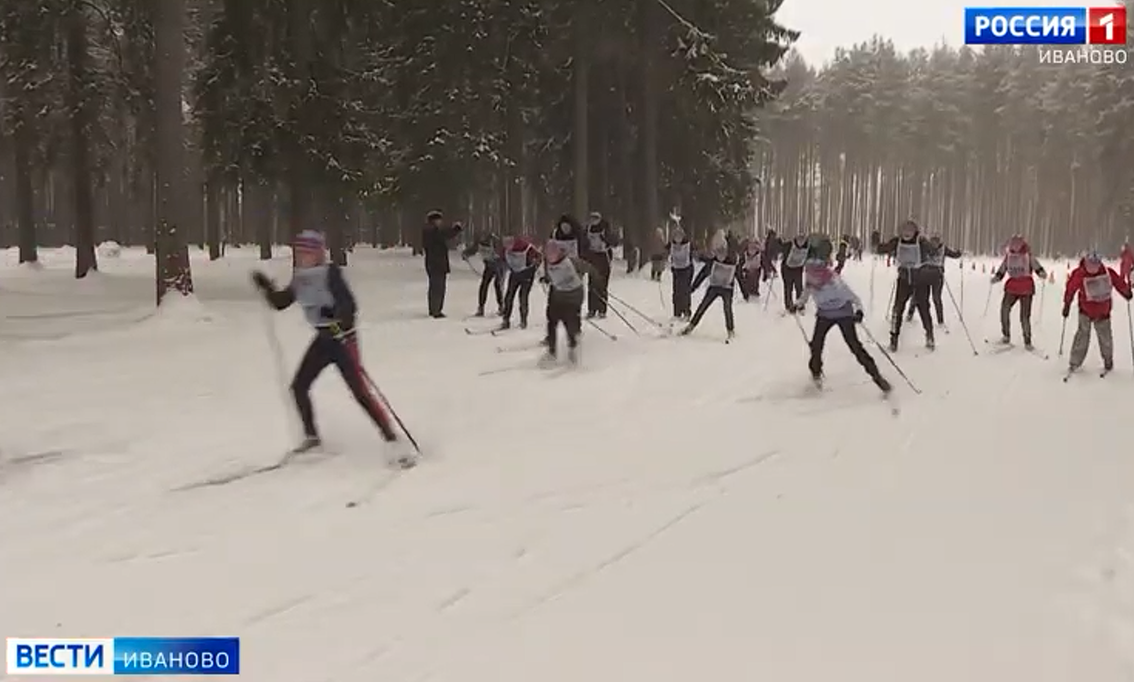 В Ивановской области проходит первенство по лыжным гонкам "Золотое кольцо России"