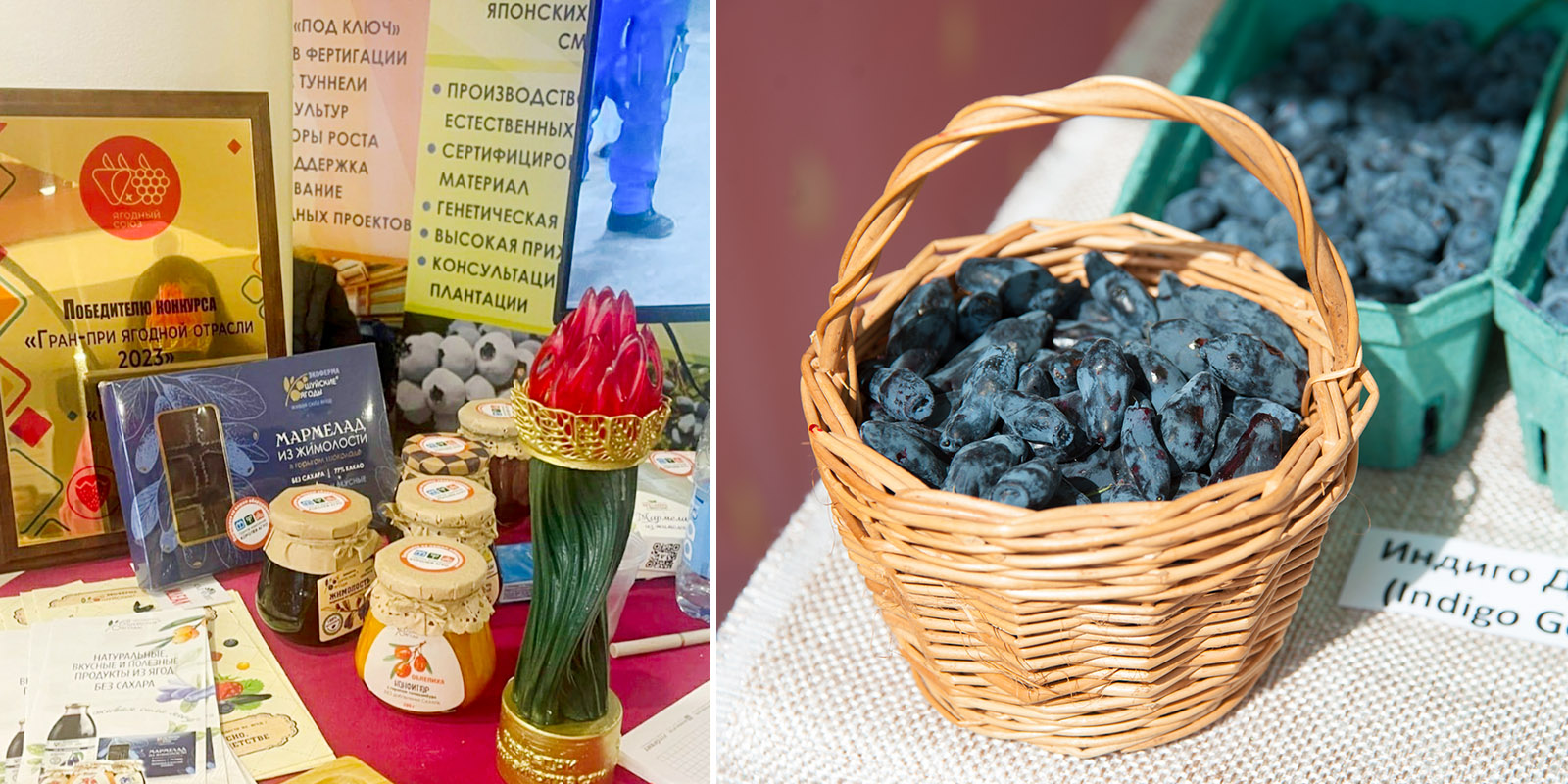 Компания по производству ягод из Ивановской области победила в федеральном отраслевом конкурсе