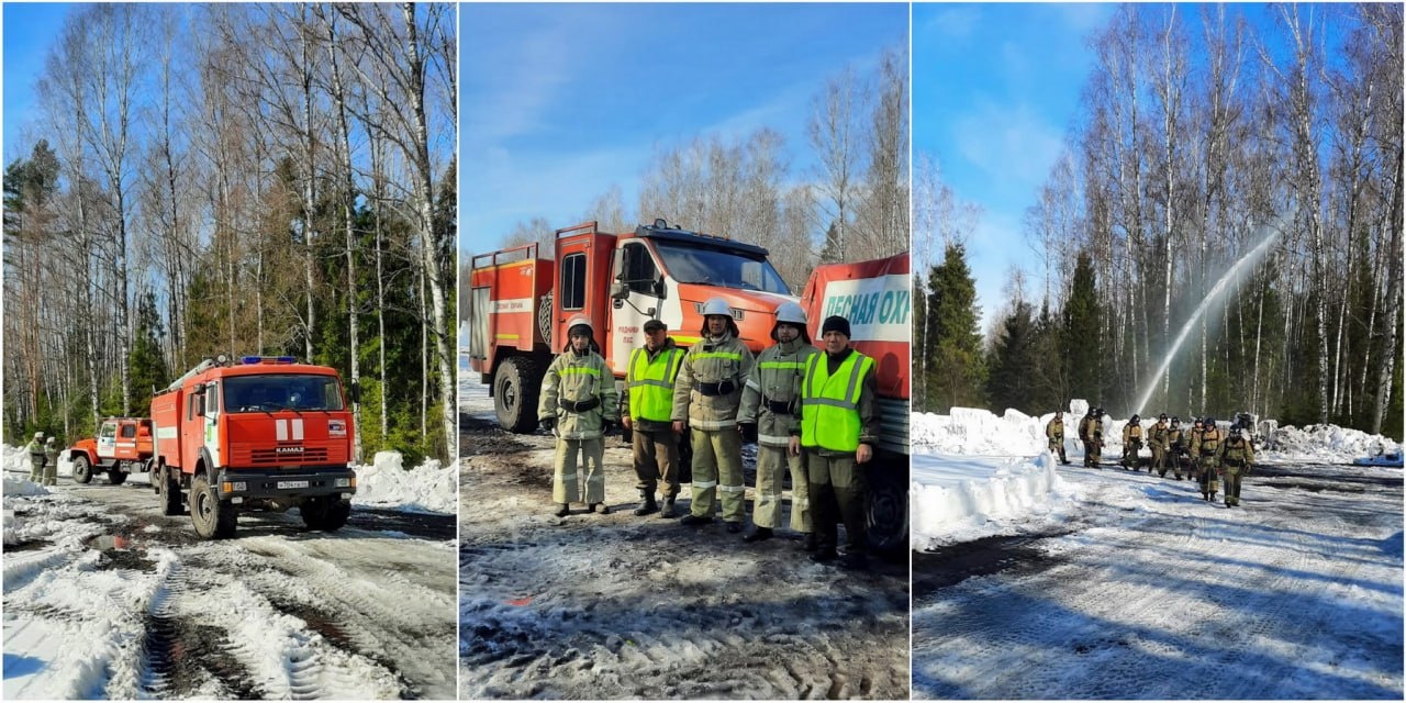 В Ивановской области прошли межрегиональные учения по тушению лесных пожаров