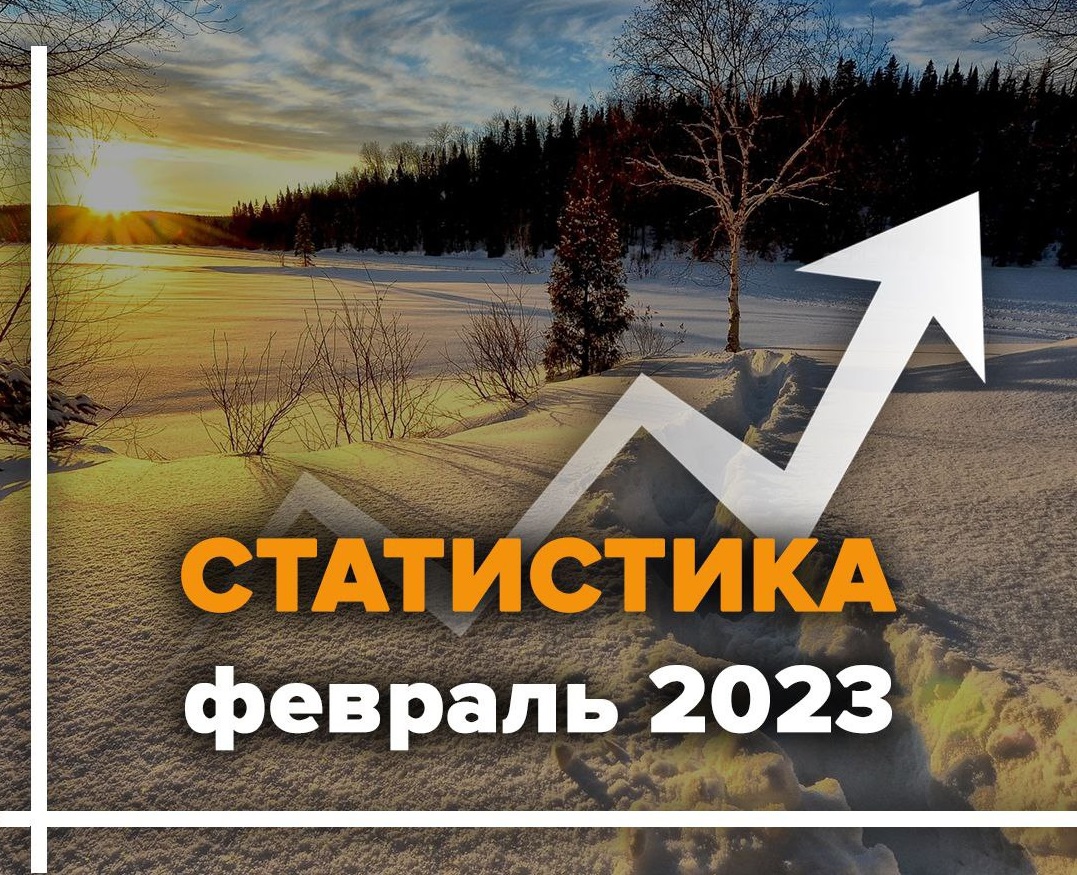 За последний зимний месяц волонтеры отряда "ЛизаАлерт" Ивановской области отработали 15 заявок