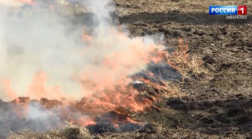 Семь раз за сутки в Ивановской области тушили горящую сухую растительность 