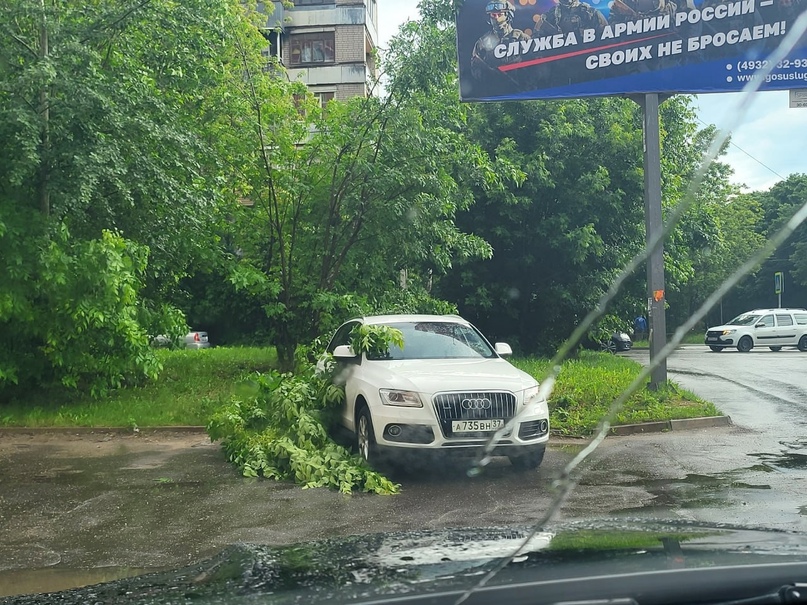 Шквалистый ветер повалил деревья в разных районах Иванова