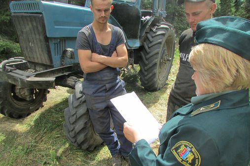 За первое полугодие в лесах Ивановской области снизилось количество и объем незаконных рубок