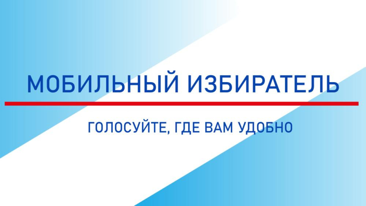 Жители Ивановской области могут проголосовать на выборах с помощью сервиса "Мобильный избиратель"