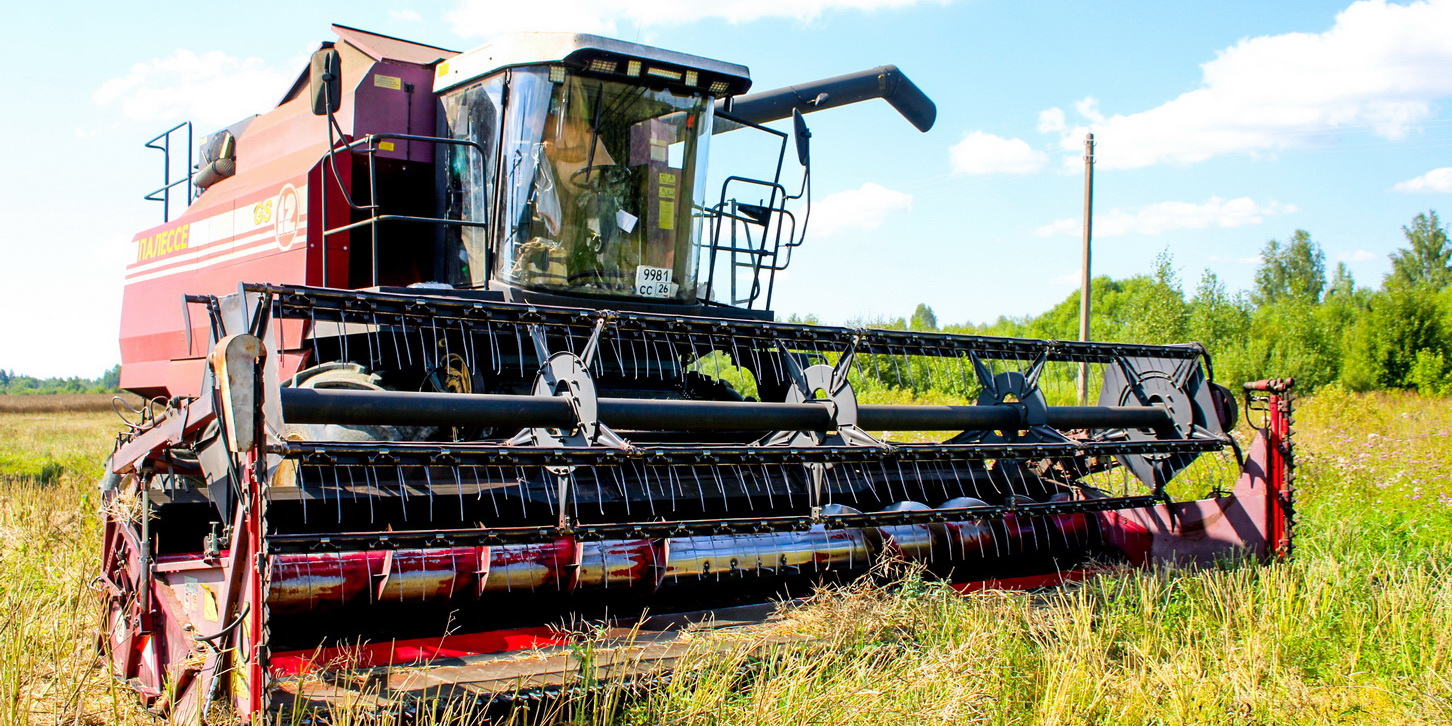 На полях в Ивановской области убрана почти половина  посевов рапса