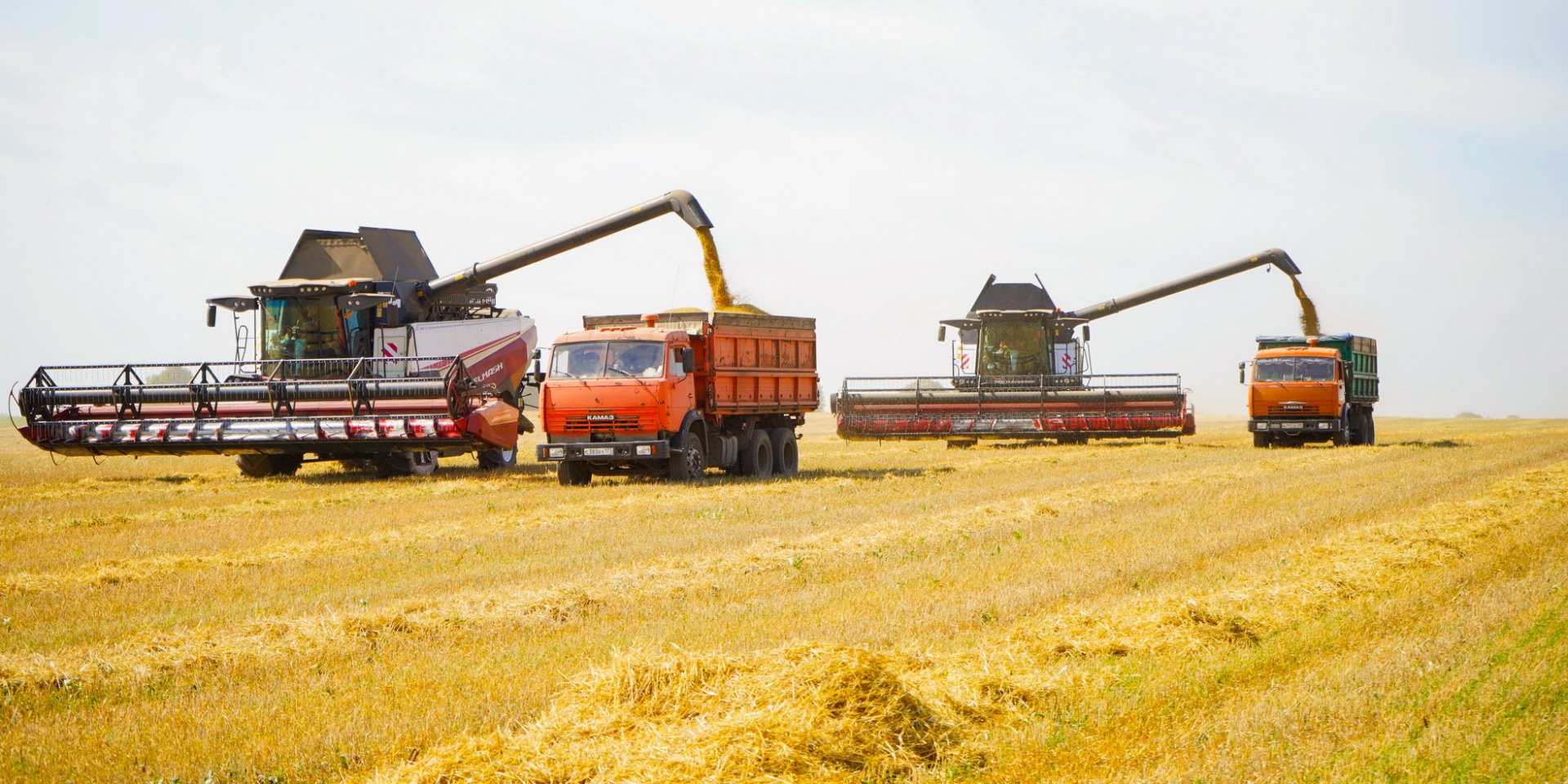 В Ивановской области зерновые убраны с 80 процентов площадей