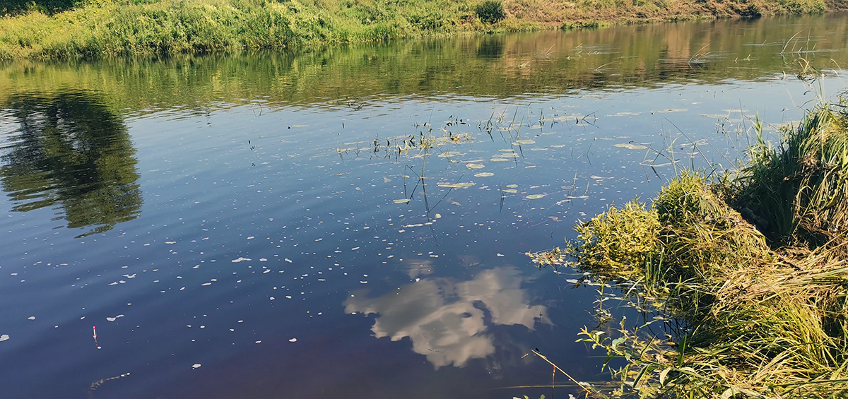 Соцучреждение из Кинешемского района сбрасывало грязные стоки в приток реки Михайловка