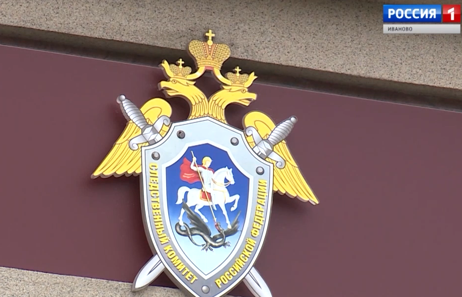 Следственный комитет проводит проверку по факту нападения собак на детей в Иванове 