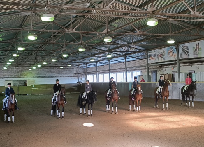 Стали известны итоги Кубка города Иваново по конному спорту
