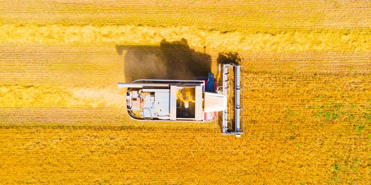Сельхозпредприятие в Гаврилово-Посадском районе - лидер по сбору зерна в регионе