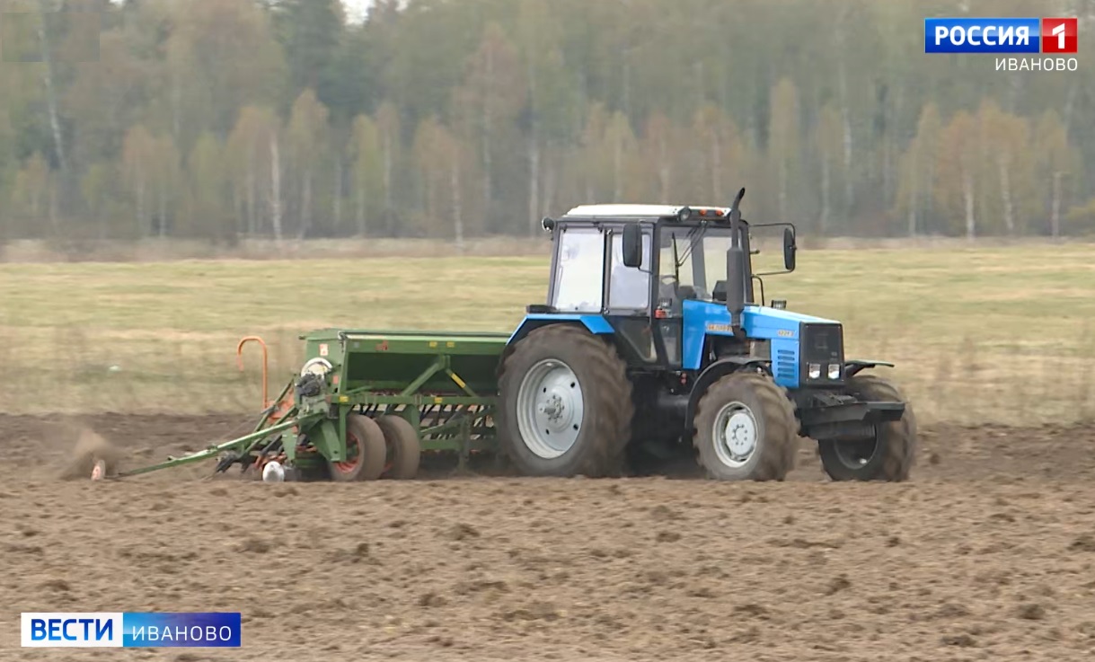 В Ивановской области в четыре раза увеличилось производство и переработка масличных культур