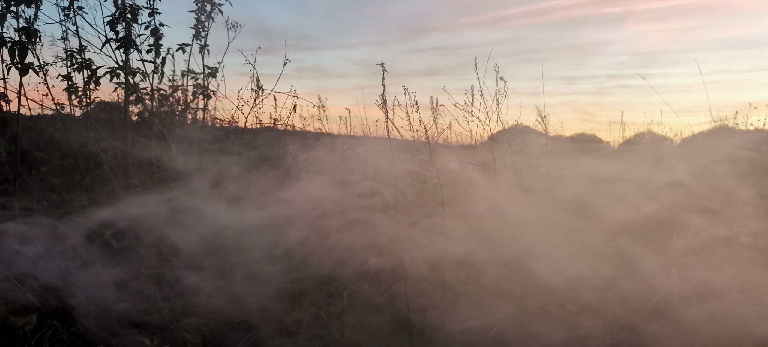 В Ивановской области ожидается туман
