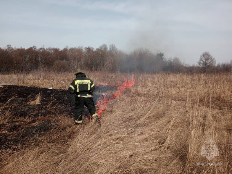 За минувшие сутки спасатели Ивановской области 5 раз выезжали на тушение пожаров