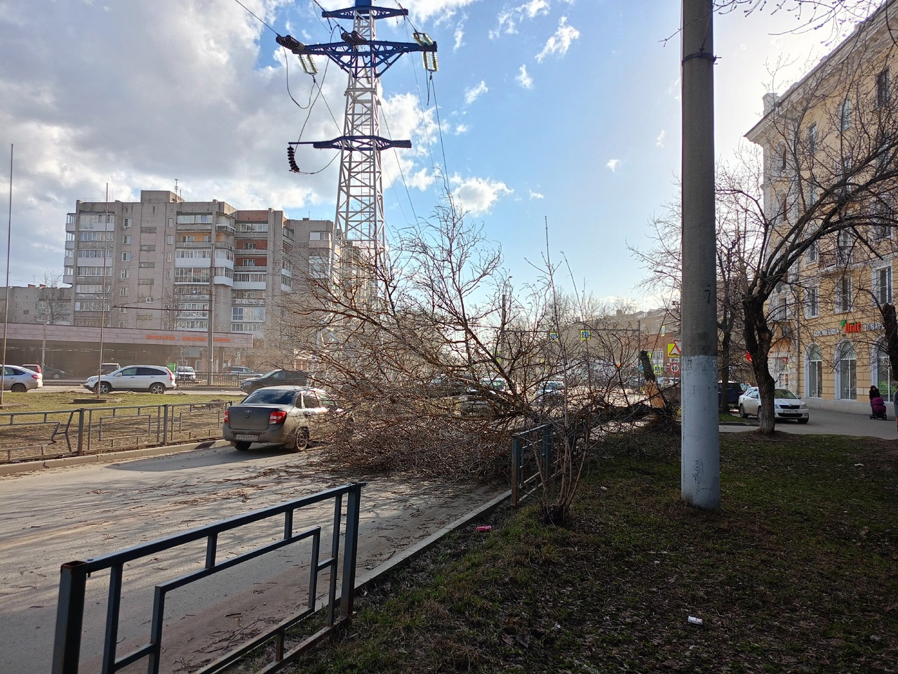 В Иванове на улице Мархлевского упало дерево