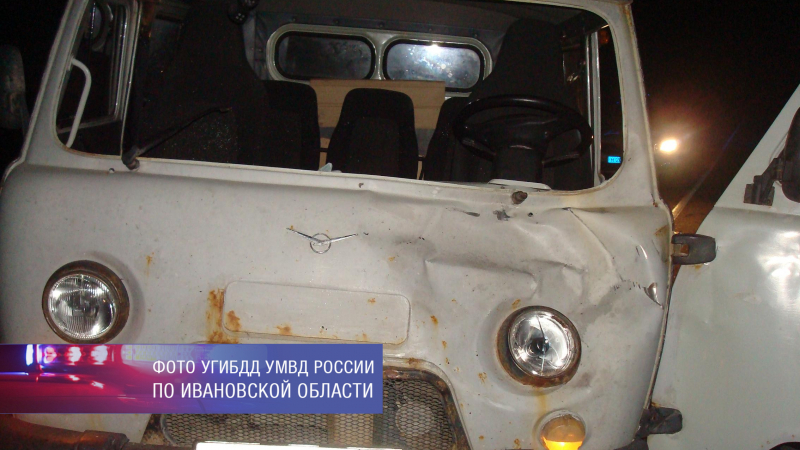 ДТП с лосем случилось на трассе в Ивановской области