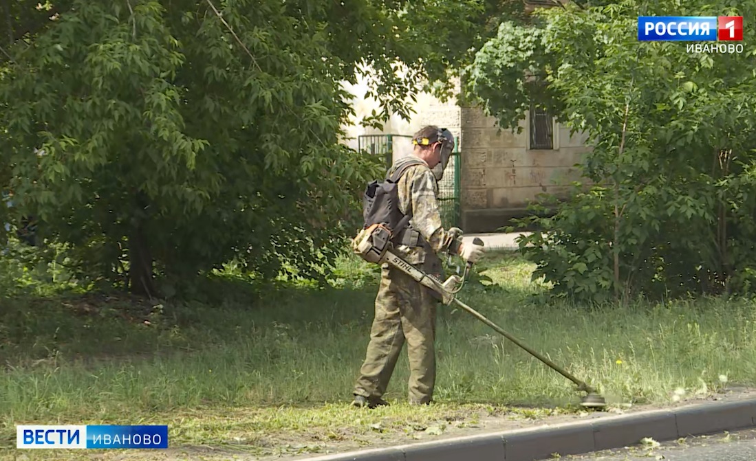Коммунальщики продолжают выкашивать траву в Иванове