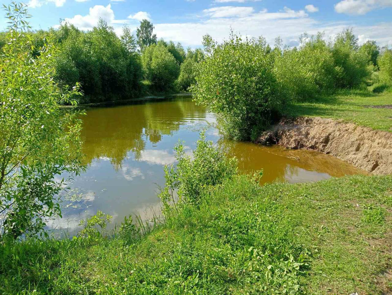 Возбуждено уголовное по факту гибели отца и его 9-летнего сына в пруду в Ивановской области 