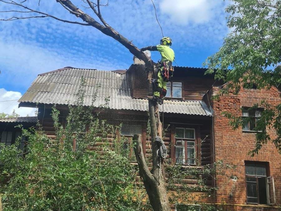 Все поваленные ураганом деревья убрали в Иванове