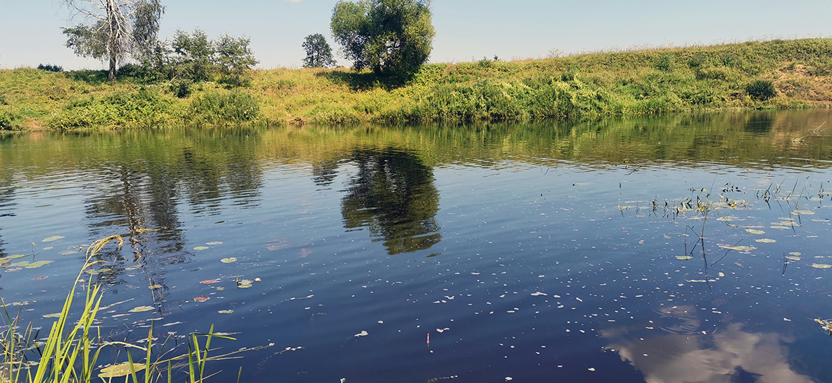 С начала купального сезона из водоемов Ивановской области спасено 9 человек