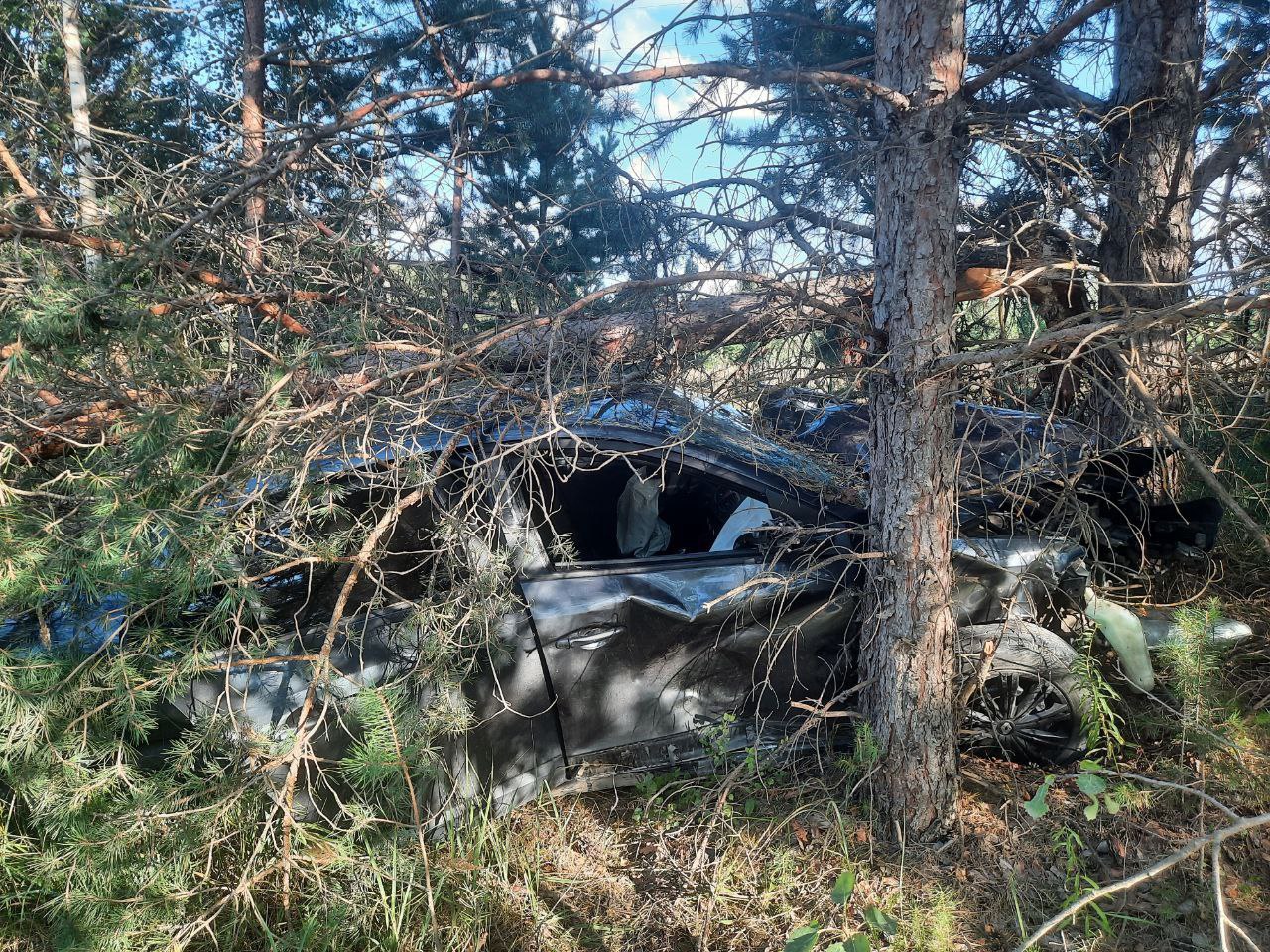 В Пестяковском районе в ДТП погиб ребенок