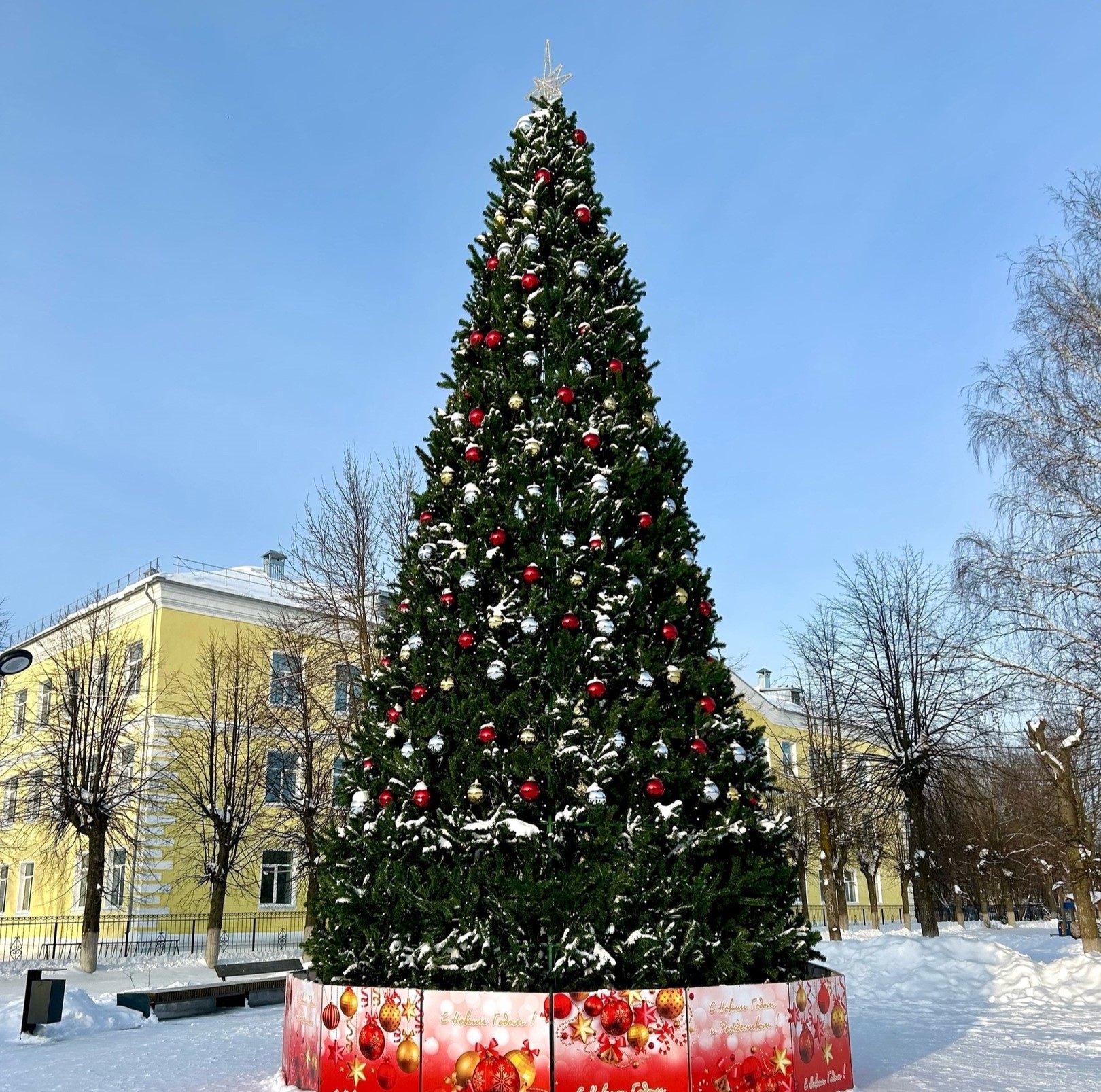 Главную новогоднюю елку установили в Юже