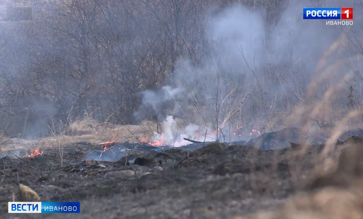 Почти 60 случаев возгорания сухой травы произошло в Ивановской области