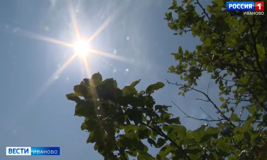В ближайшие дни воздух в регионе прогреется до +34℃