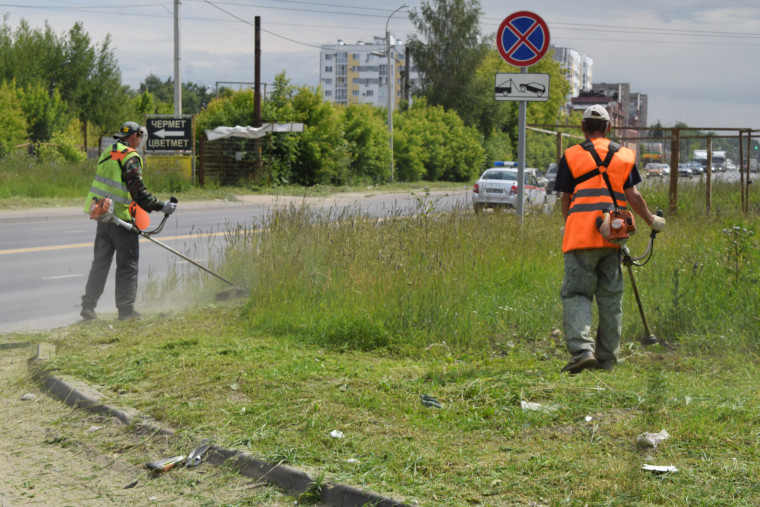 За три недели в Иванове выкошено свыше полумиллиона квадратных метров травы